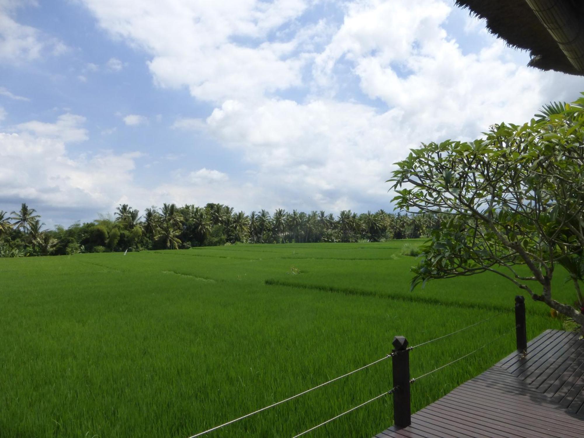 Bali Harmony Villa Ubud Værelse billede