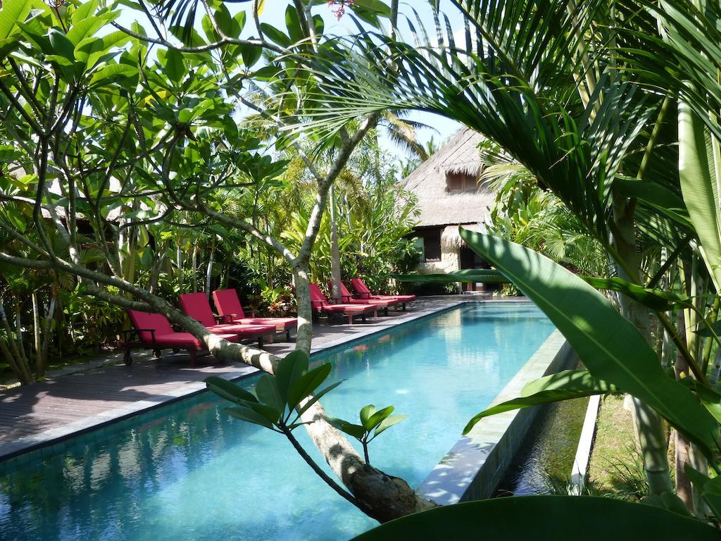 Bali Harmony Villa Ubud Værelse billede