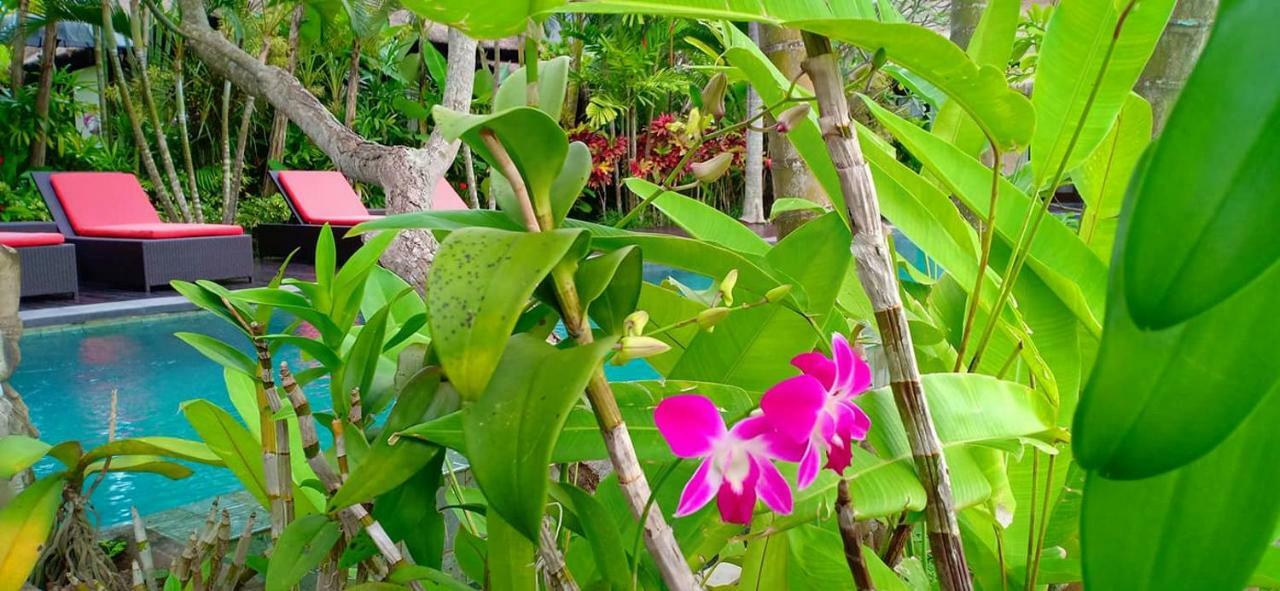 Bali Harmony Villa Ubud Eksteriør billede